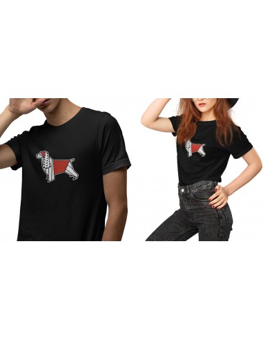 T-shirt ORIGAMI POP COCKER cane